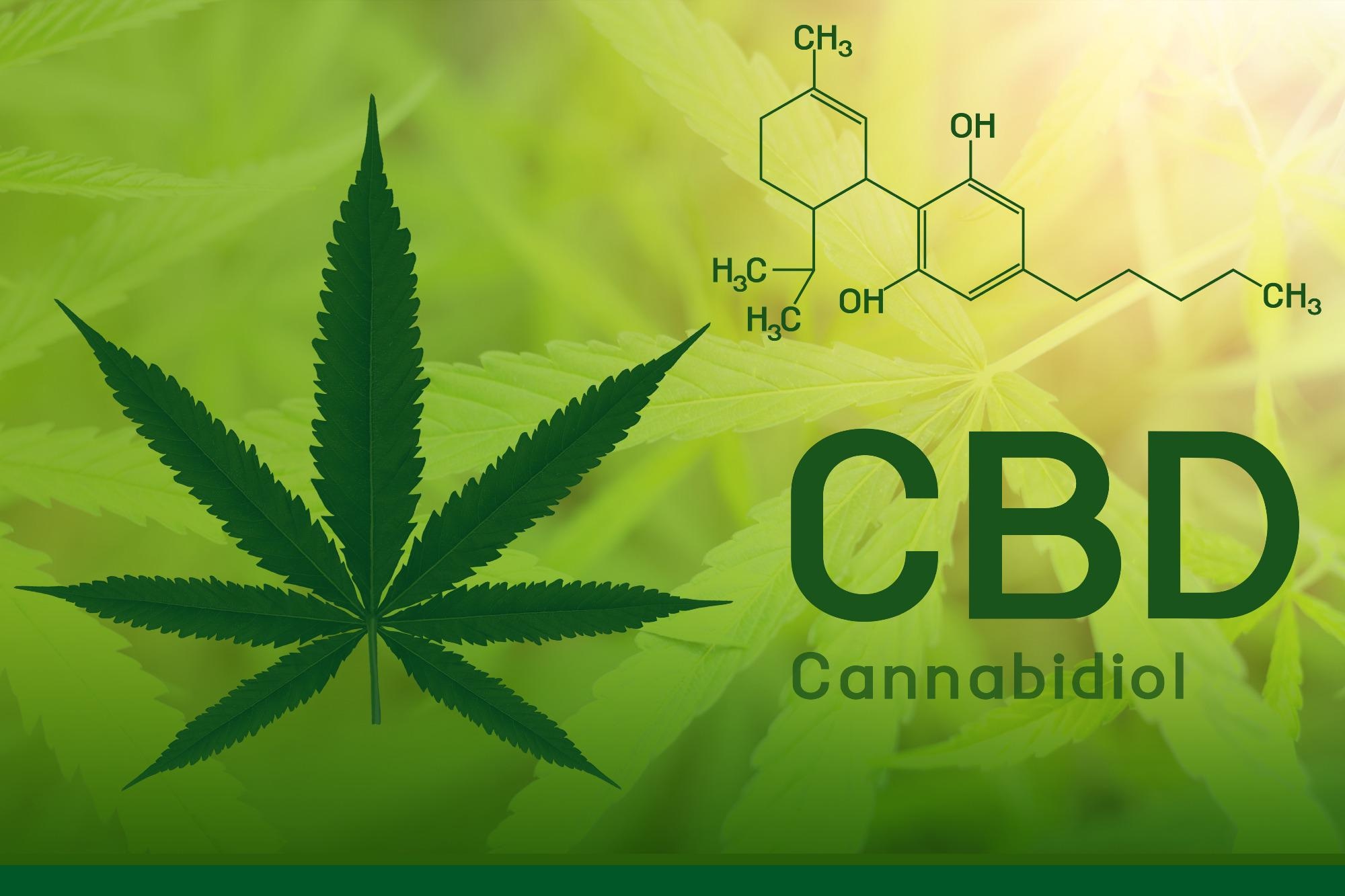 CBD Information Who Can You Trust
